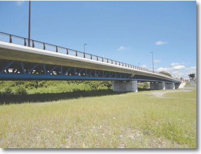 14. Nagata Bridge