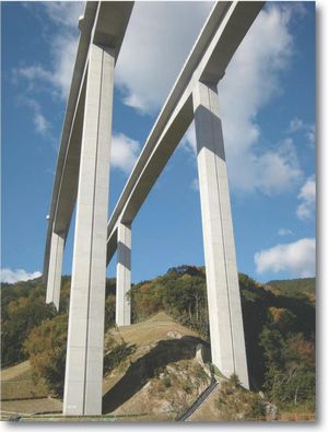 22. Sanagawa Bridge