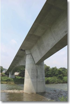 34. Bridges in the Hirose-Gawa Area